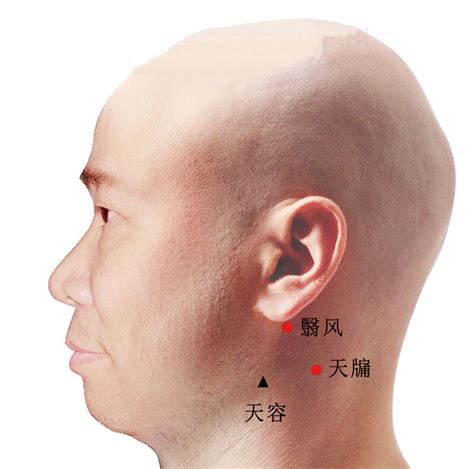 翼風穴|翳风穴